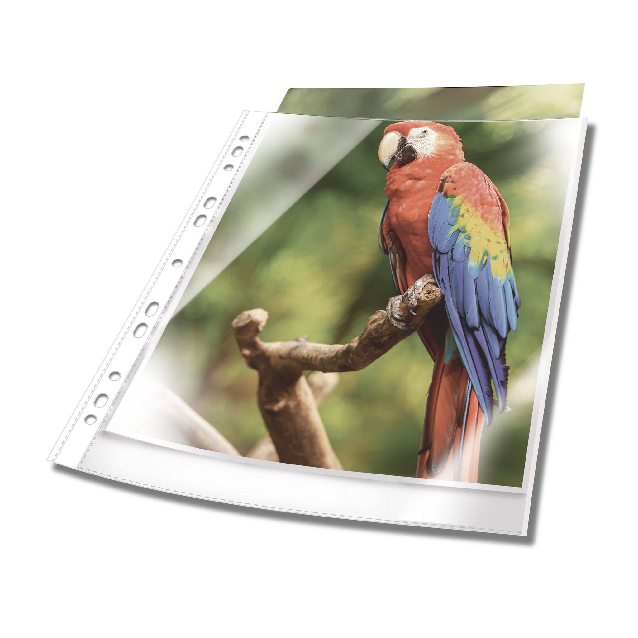 DURABLE Prospekthüllen A4 oben offen 10 Stück glasklar,weiß Multimedia-Technik