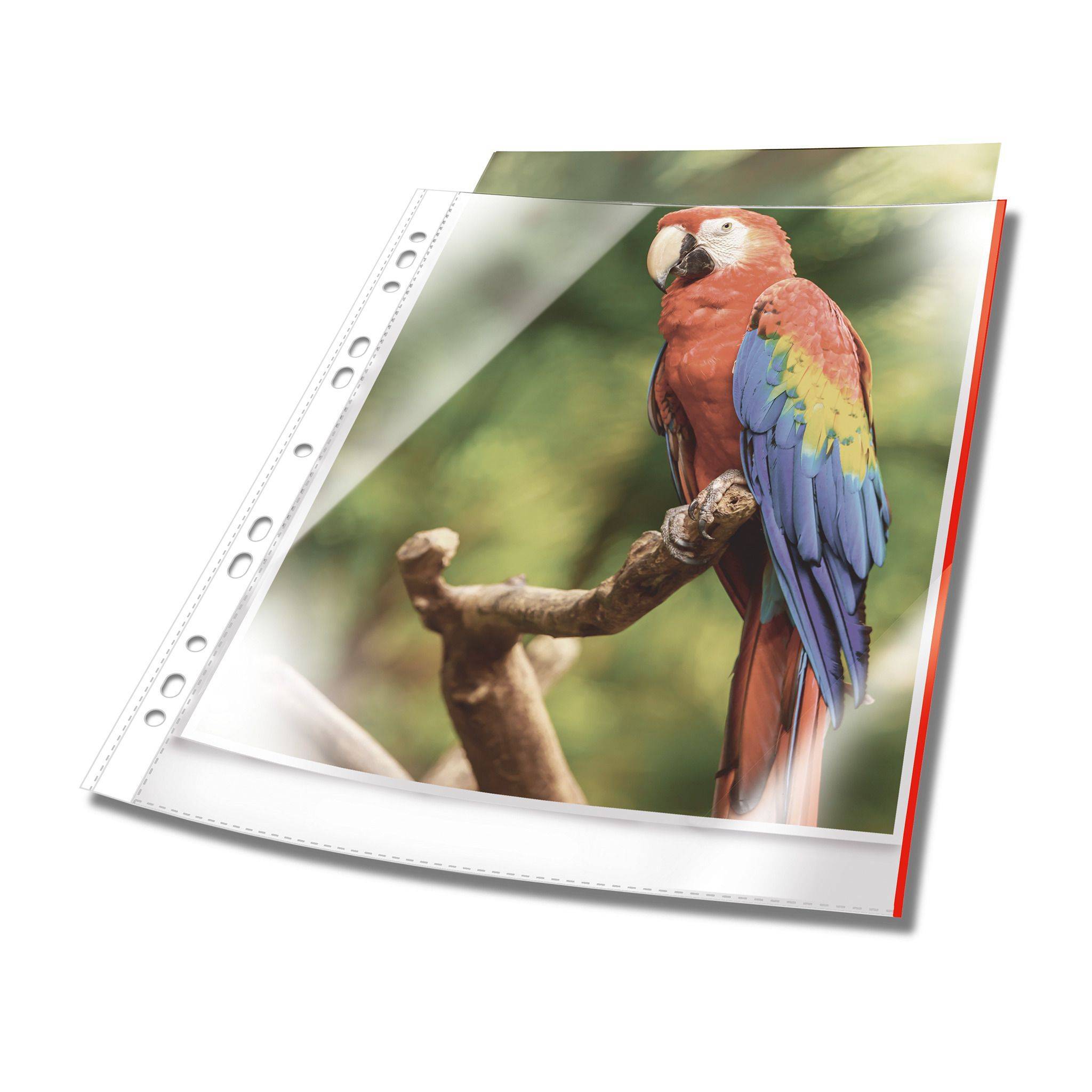 DURABLE Prospekthüllen A4 oben offen 25 Stück glasklar, rot Multimedia-Technik