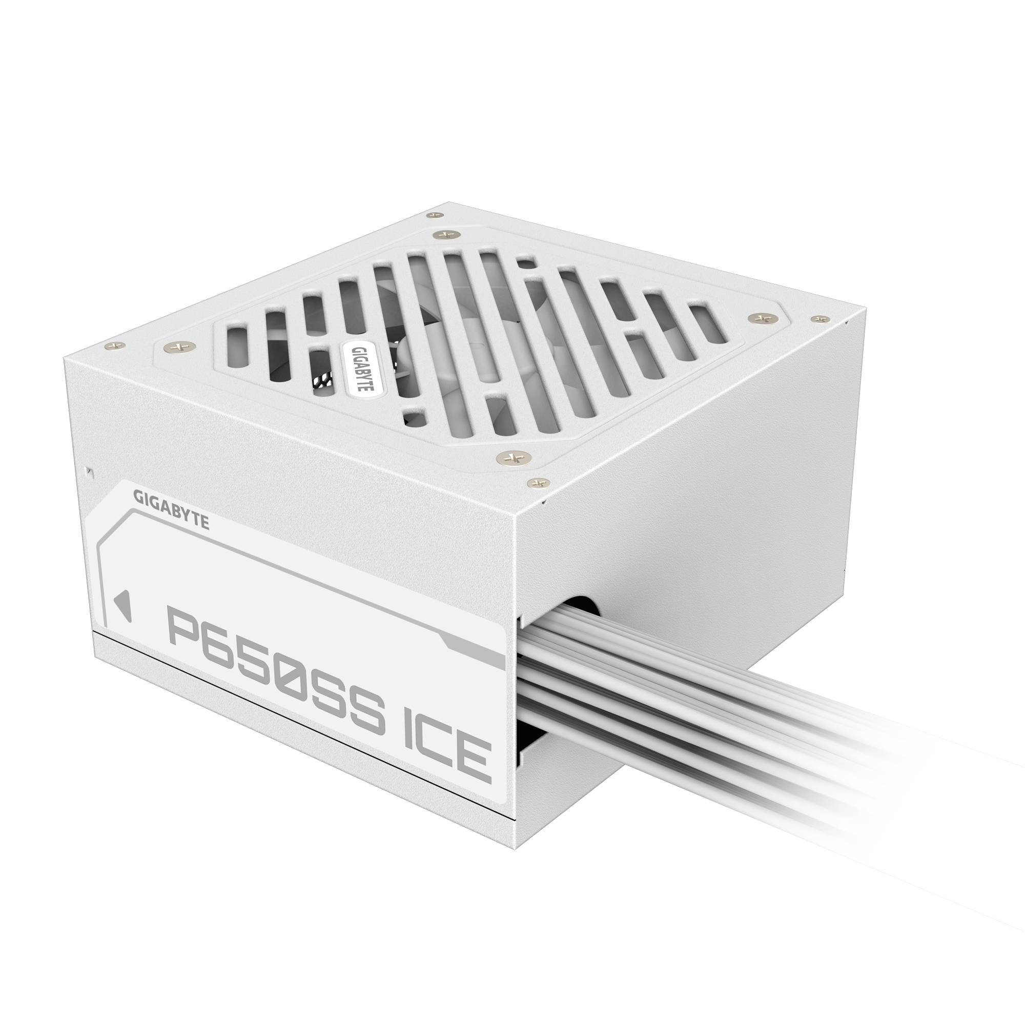 Gigabyte P650SS ICE - Netzteil (intern) - ATX12V 3.0/ EPS12V