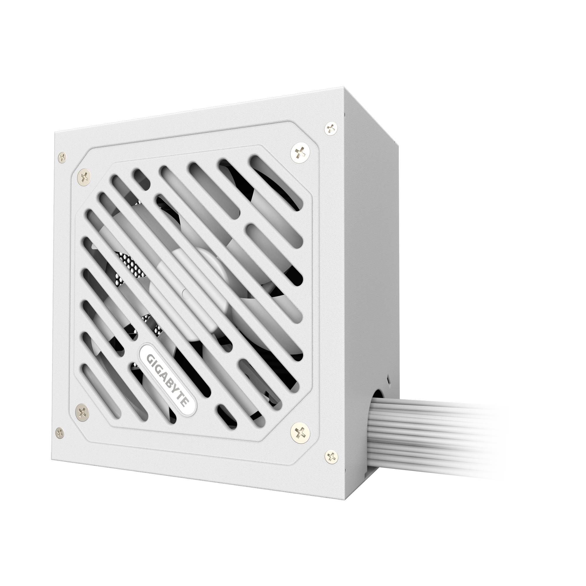 Gigabyte P650SS ICE - Netzteil (intern) - ATX12V 3.0/ EPS12V