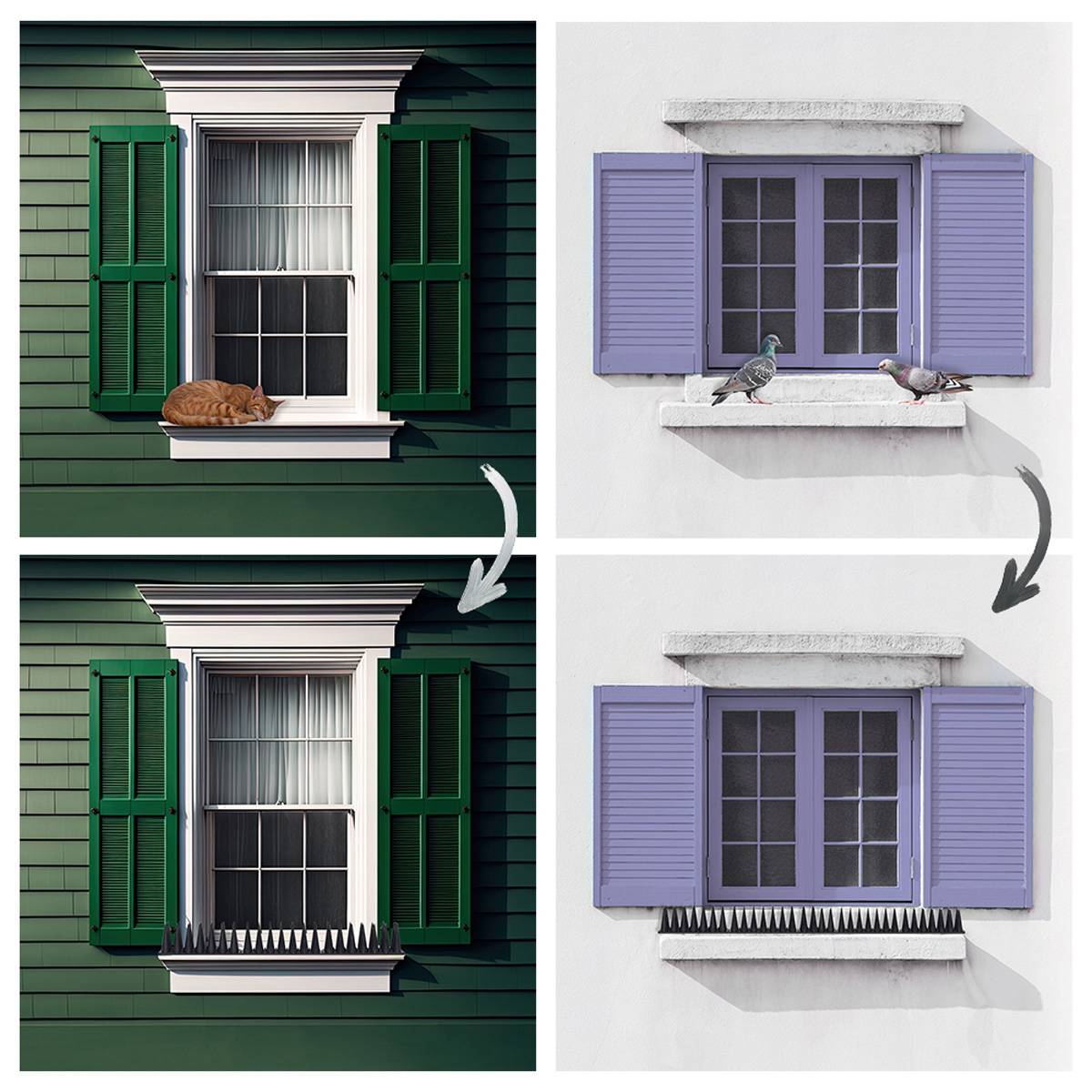 Offgridtec 20 Stk. Taubenabwehr Spikes schwarz 6m Vogelschutz Stacheln Katzenabwehr für Balkon, Fensterbrett, Zaun, Dach