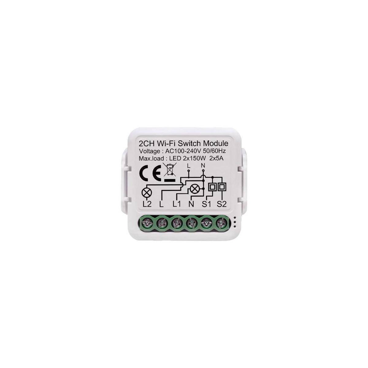 NPLLSW02 - Netplus Smart Relay Switch Module 2-channel Wi-Fi