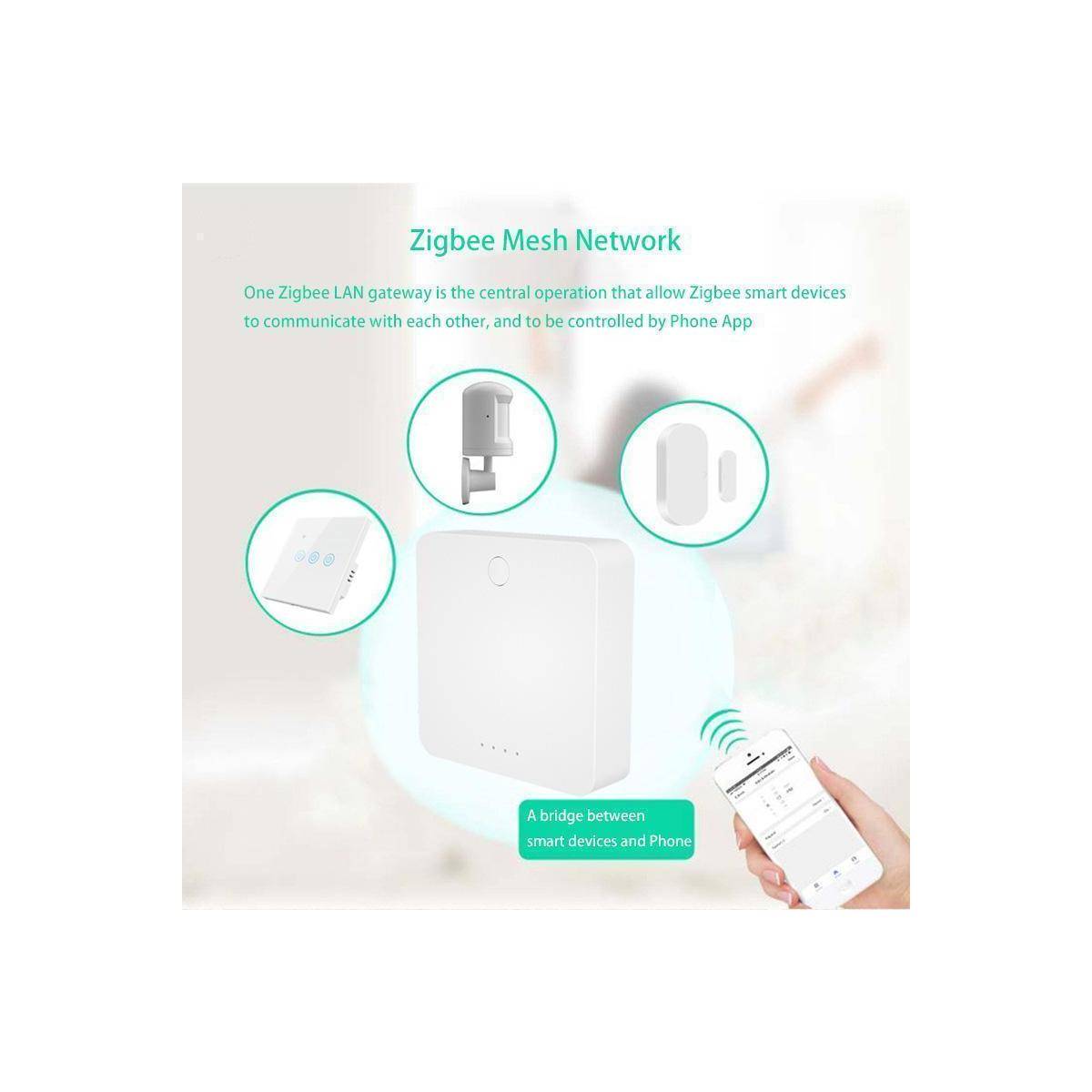 NPLZJMWZG2 - Netplus Zigbee LAN Hub