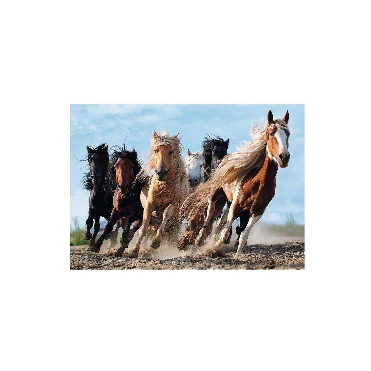 TR10446 - Premium Puzzle 1000 Teile - galloppierende Pferde