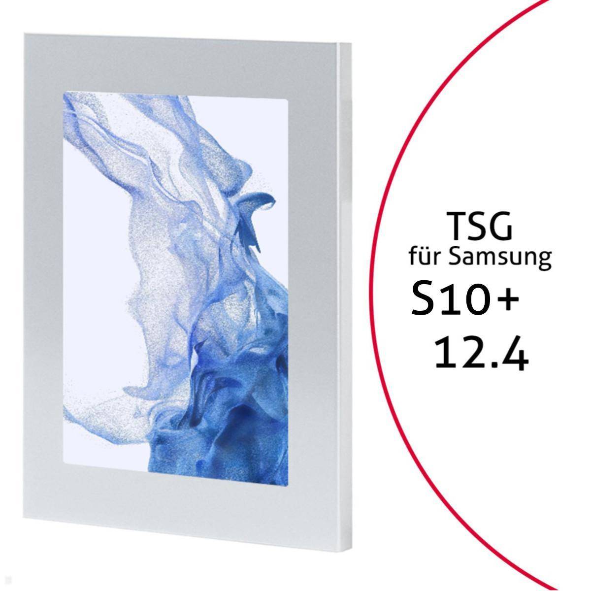 TabLines TSG109S Tablet Schutzgehäuse für Samsung Tab S10+ 12.4, silber