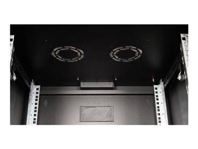 ROLINE 48,26cm Wandgehäuse Pro 7 HE Server, Storage & USV Rack-Gehäuse Rack-Schränke