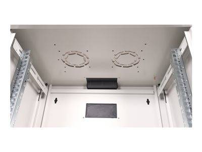 ROLINE 48,26cm Wandgehäuse Pro 12 HE Server, Storage & USV Rack-Gehäuse Rack-Schränke