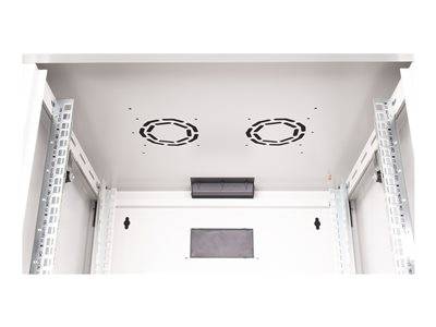 ROLINE 48,26cm Wandgehäuse Pro 9 HE Server, Storage & USV Rack-Gehäuse Rack-Schränke