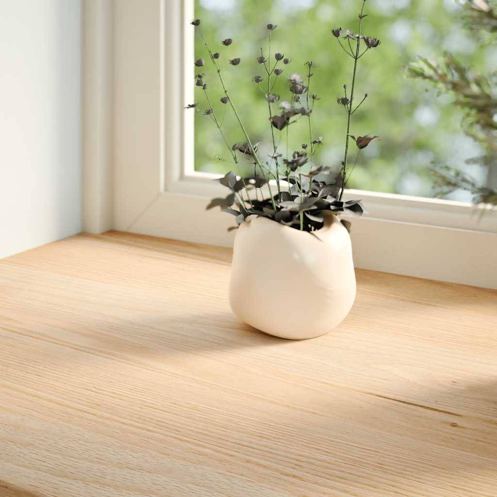 vidaXL Fensterbänke 2 Stk. Unbehandelt 160x30x2 cm Massivholz Eiche