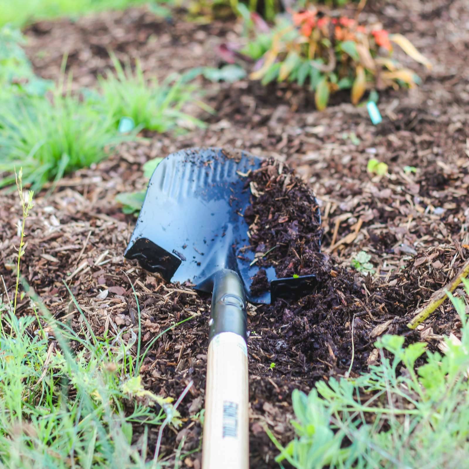 FRONTTOOL Spatenschaufel 2in1 Holzstiel