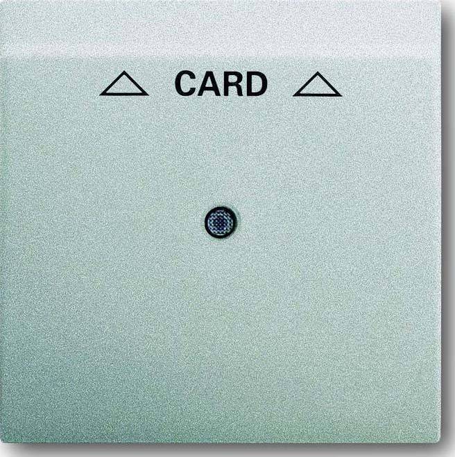 Busch-Jaeger Zentralscheibe alu/si 1792-783