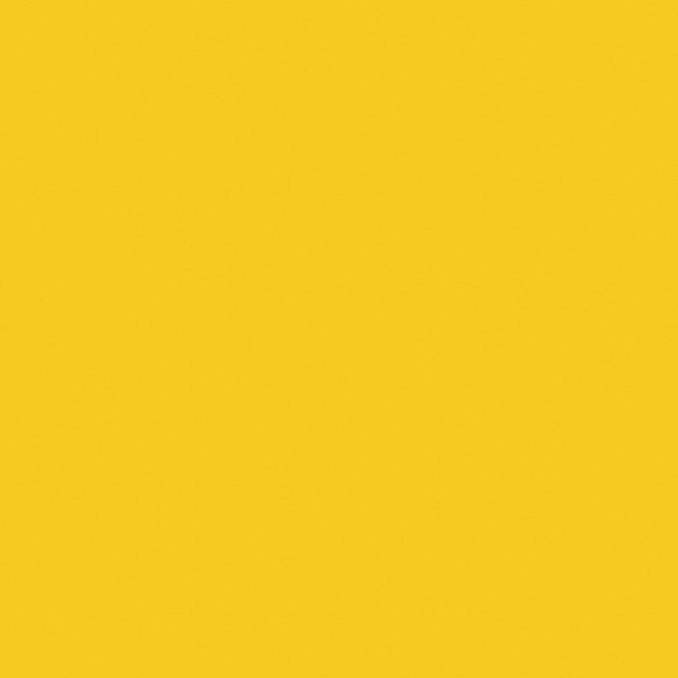 Hallenfarbe PROline paint, 1-Komponentenfarbe, gelb (RAL 1003), 5 l