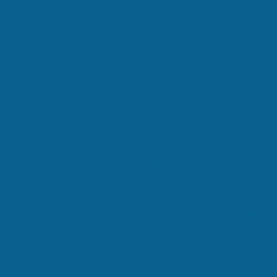 Hallenfarbe PROline paint, 1-Komponentenfarbe, blau (RAL 5017), 5 l