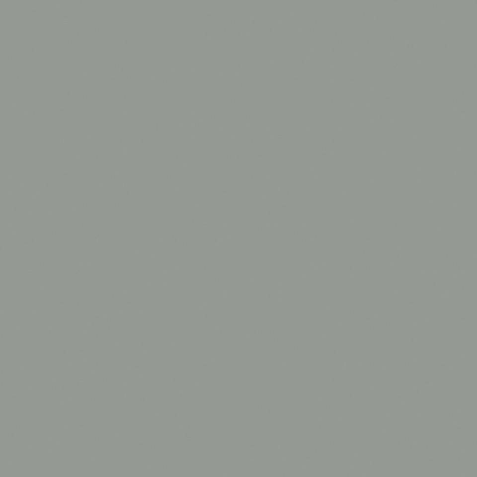 Hallenfarbe PROline paint, 1-Komponentenfarbe, steingrau (RAL 7030), 5 l