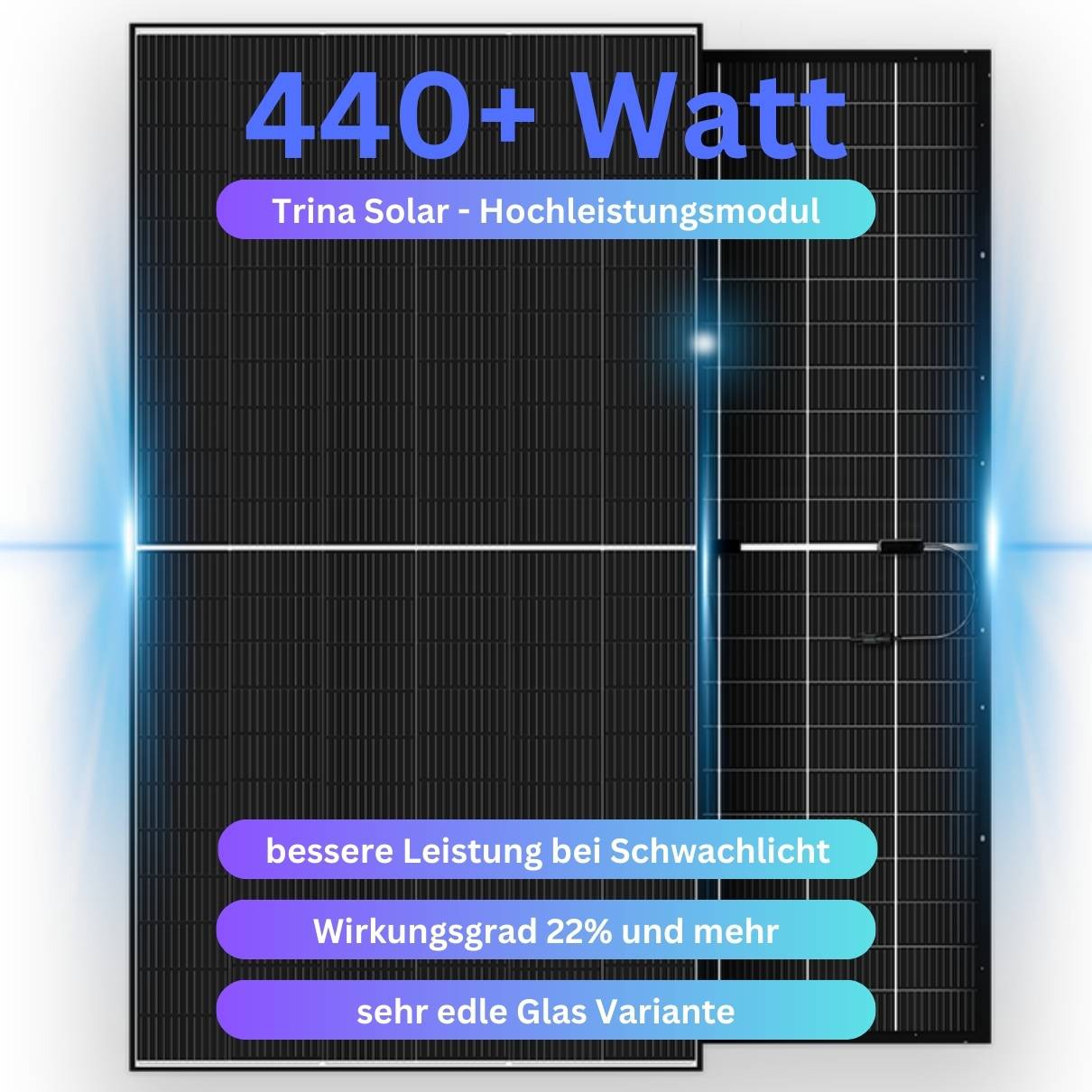 MYVOLTAICS 4x 440+ Watt Premium Hochleistungsmodule – Doppelglas transparent Variante zur Stromerzeugung von beiden Seiten (bifazial)