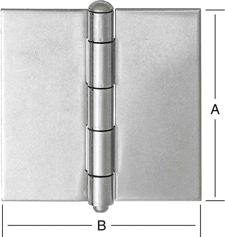 Ger.känt.Scharn. 63x63mm ungeb, Edelstahl V2A - Artikel: 4003984020589