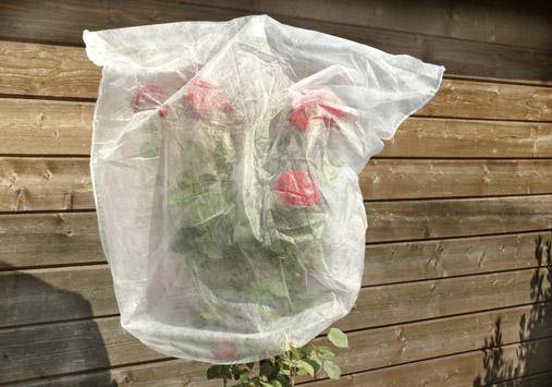 Rosenhaubenvlies 5er Set 0,8x0,75 m 17g - Artikel: 4047883003410