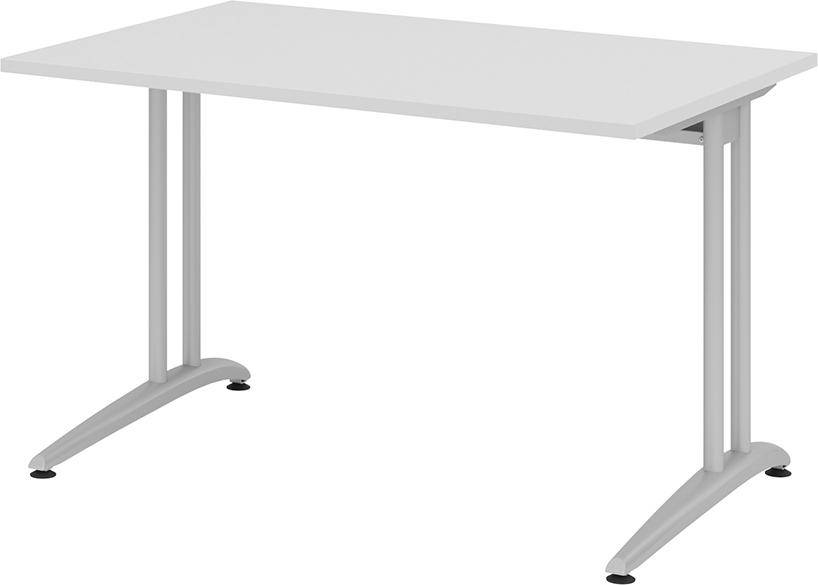 Schreibtisch lichtgrau 1200x800 mm - Artikel: 7830780124