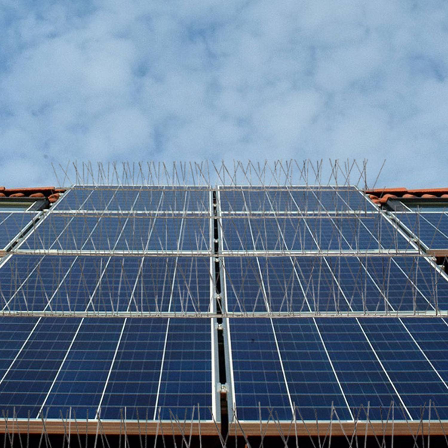 Taubenabwehr Spikes - 300cm Kunststoff - Tauben Abwehrleiste Vogel Abwehr Spikes