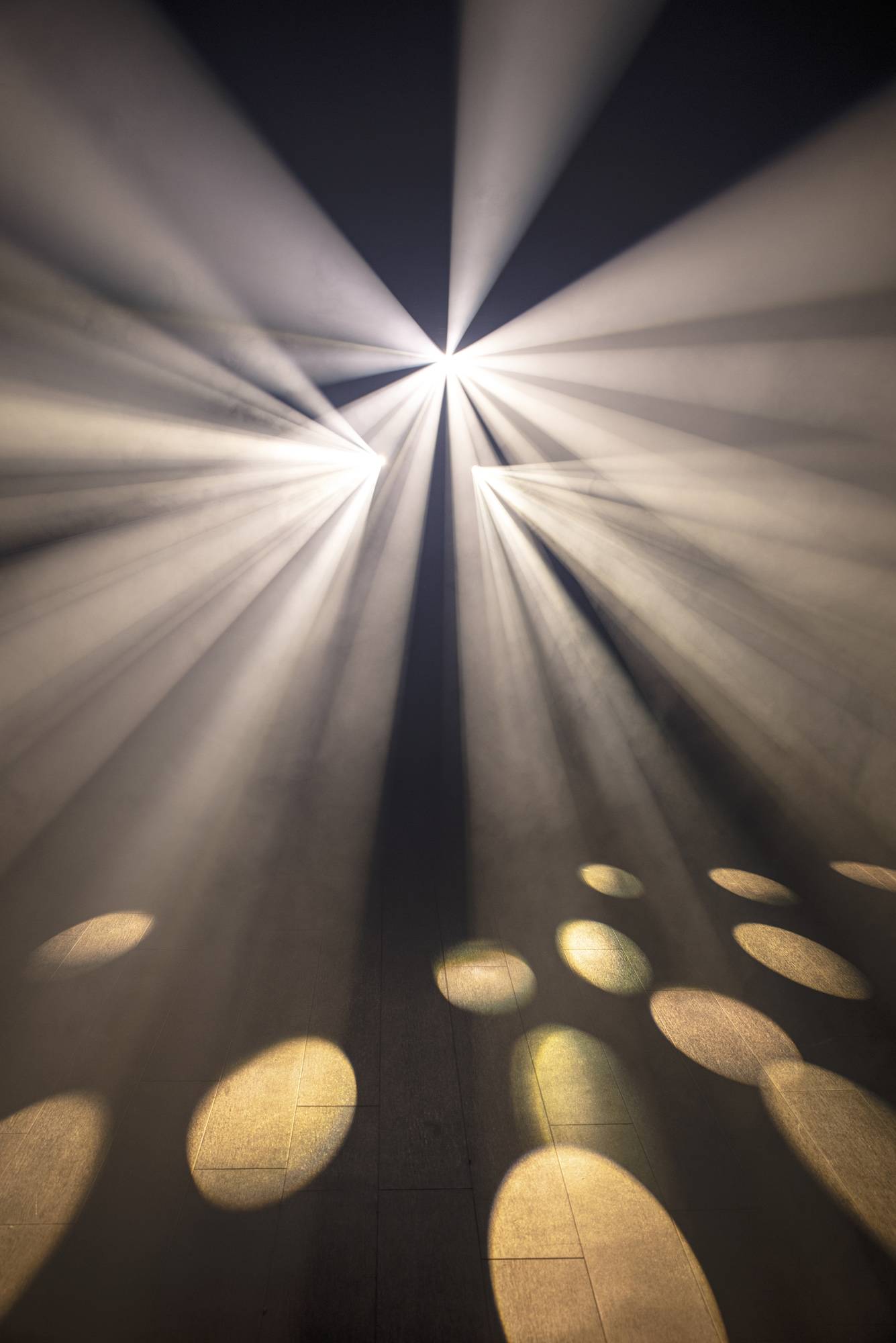 Showtec Dataflower LED Effektleuchte