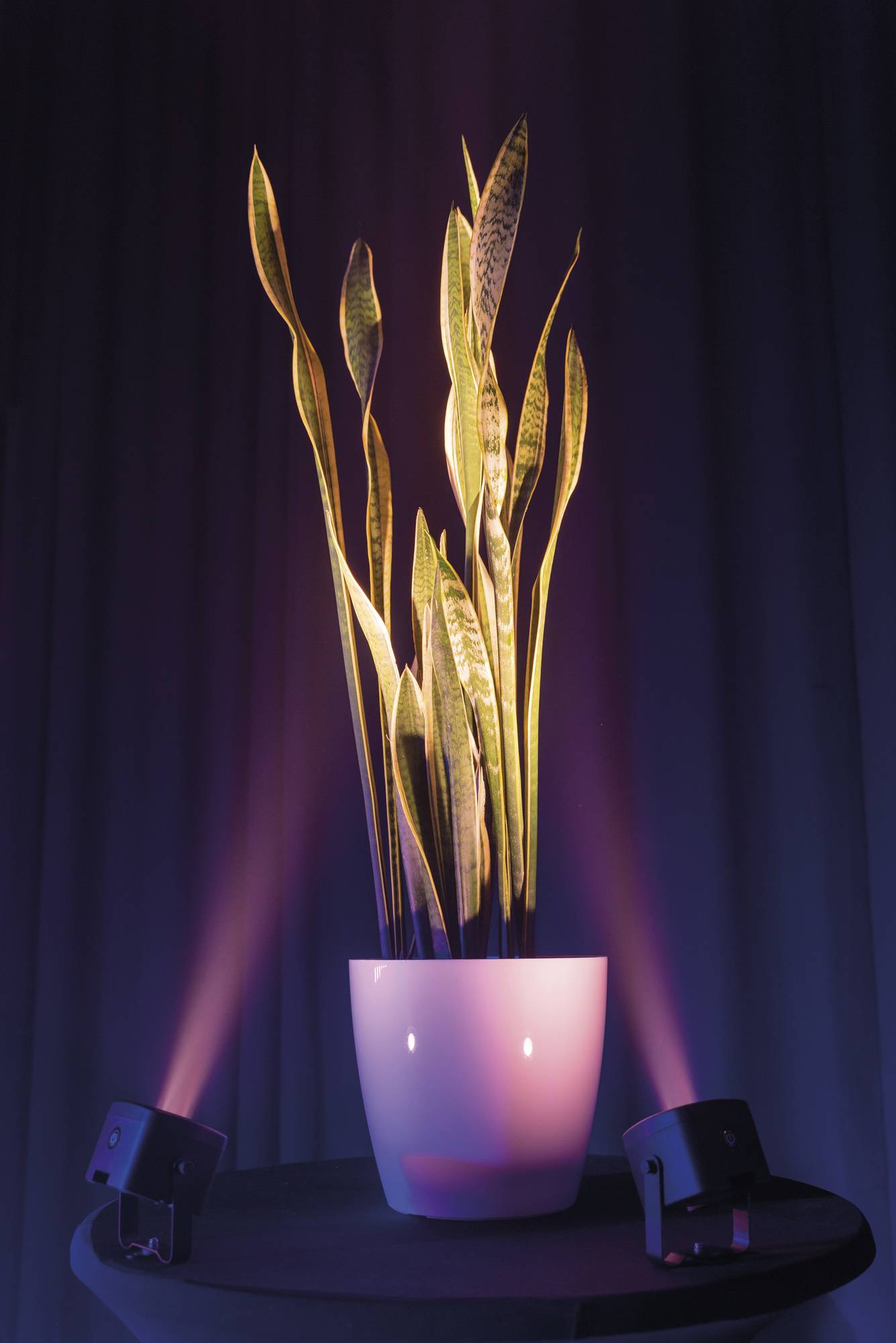 Showtec Case for 6x EventDOT 15 Einschließlich Zubehörraum