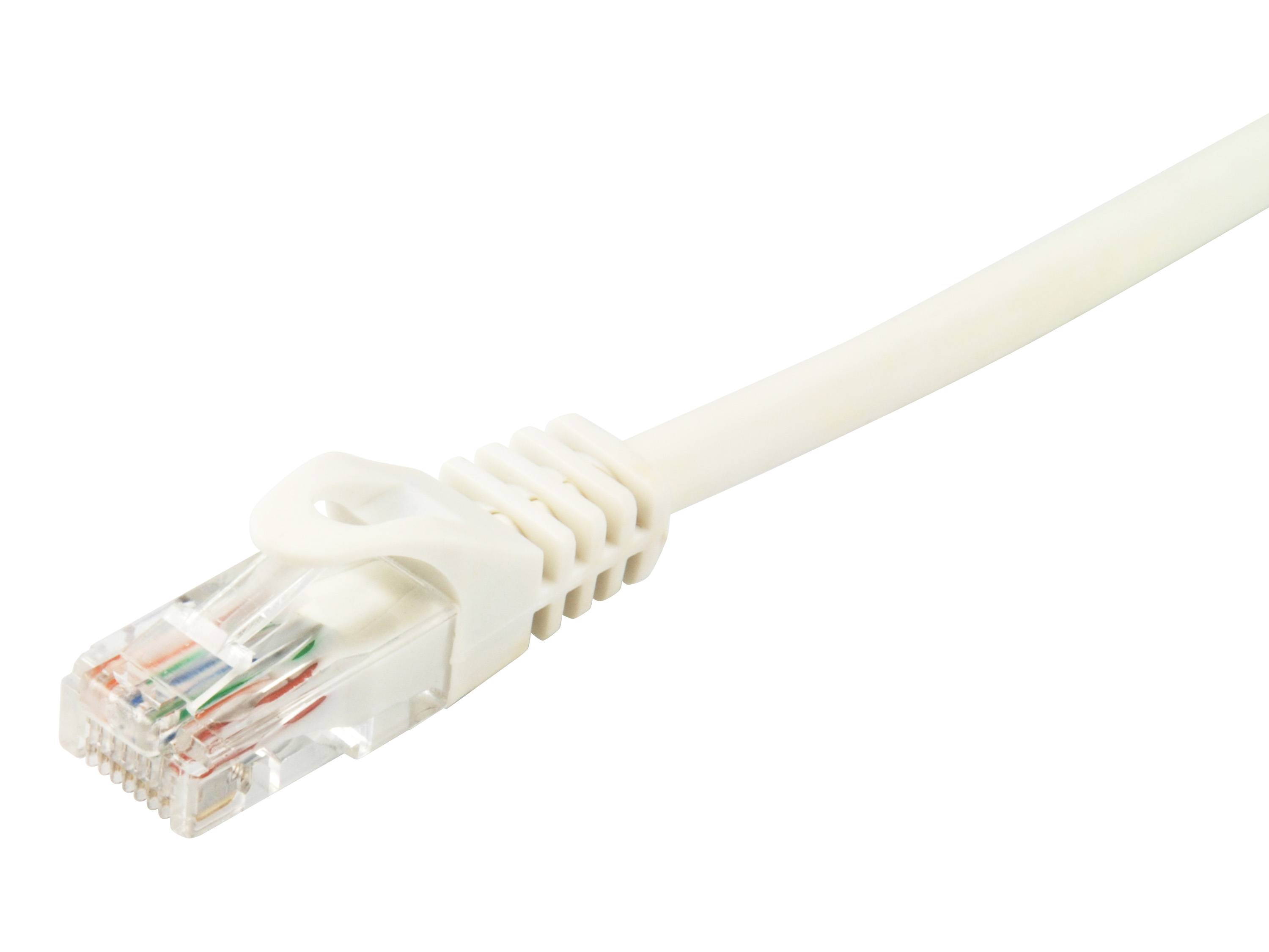 Nahaufnahme eines weißen Ethernet-Netzwerkkabels mit einem RJ45-Stecker auf einfachem Hintergrund.