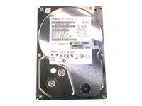 HP Festplatte - 2 TB - intern - 3.5" (8.9 cm)