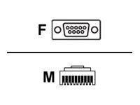 Zebra - Kabel seriell - DB-9 (W) gerade zu RJ-50 (M)