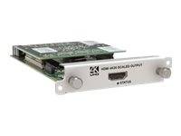 tvONE TV One 4K30 Scaling Output Module - Erweiterung für Video/Audio