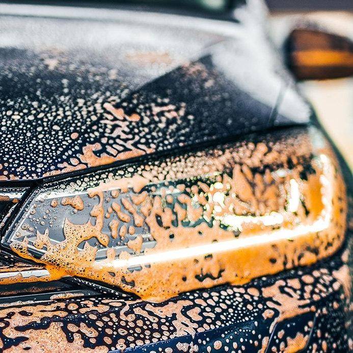 Dr. Wack CW1:100 Insekten-Entferner Gel 750 ml