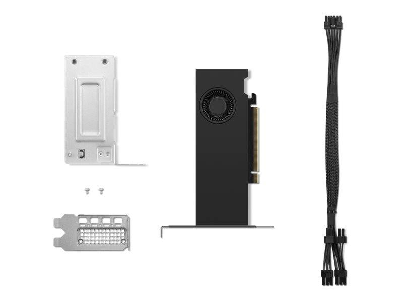 LENOVO - NVIDIA RTX 2000 Ada - Grafikkarten - NVIDIA RTX 2000 Ada