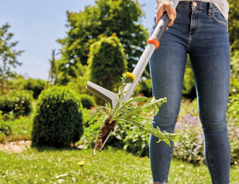 CEE-Steckdosenverteiler 4+2-fach IP 44 schwarz H07RN-F 5G2,5 Beschaffungsartikel - Artikel: 4008297125921