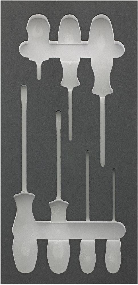 Werkzeugmodul 1/3 leer Schraubendr.Schlitz PH PZFORTIS