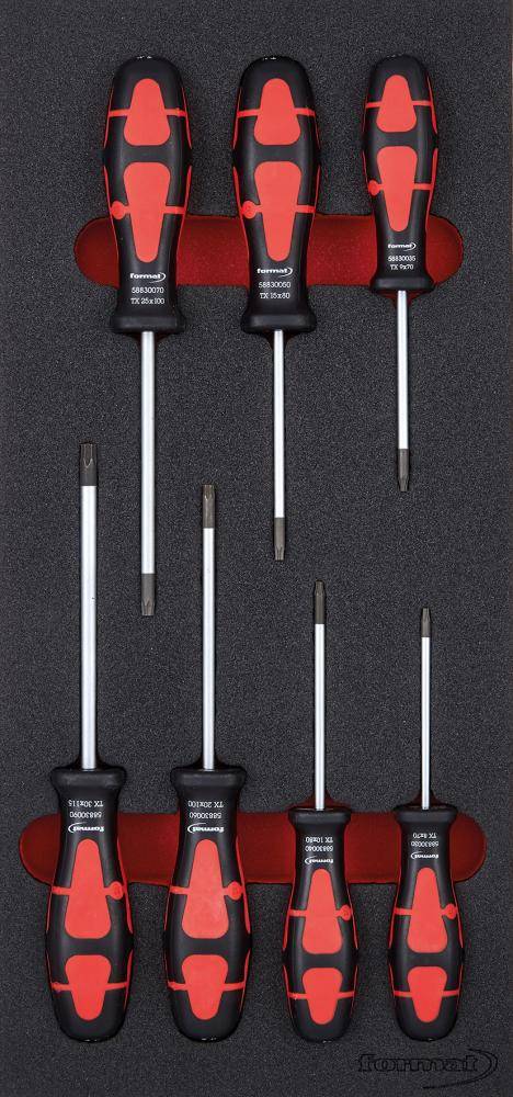 Werkzeugmodul 1/3 Schraubendreher Torx FORMAT