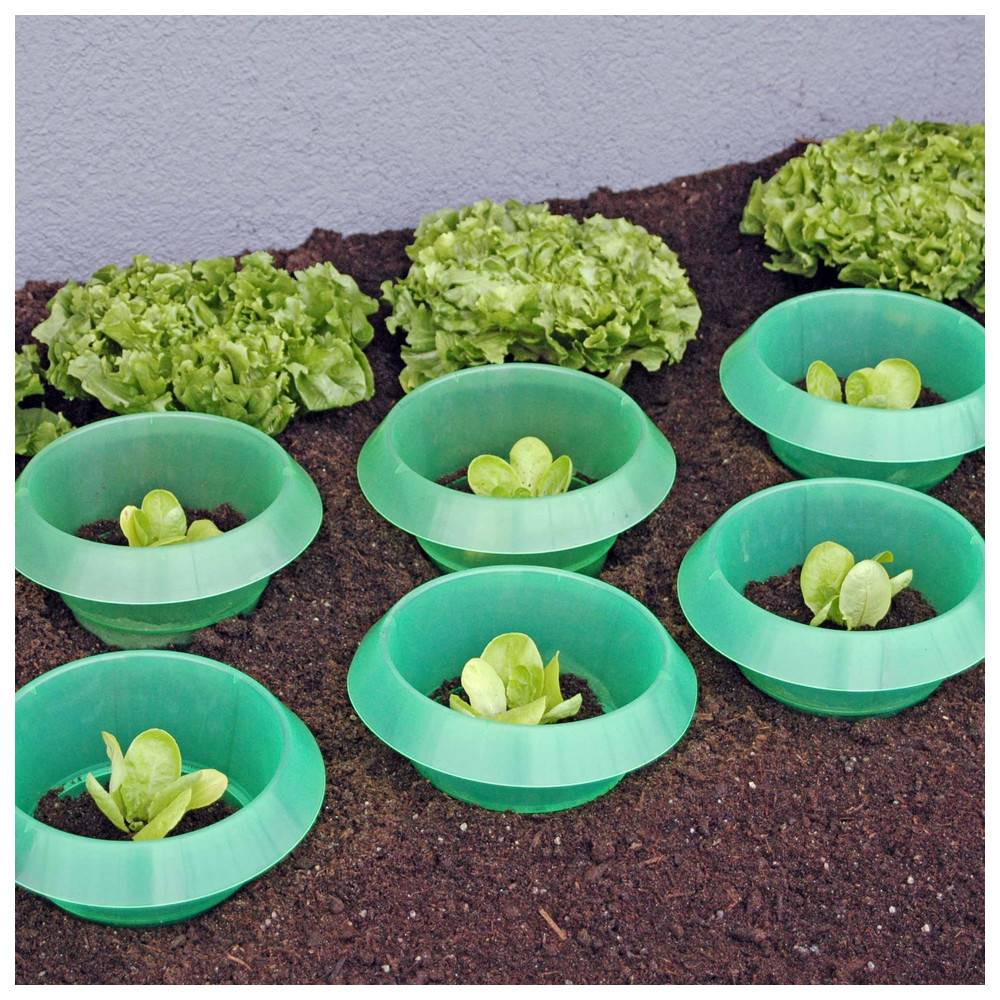 Andermatt SchneckenStopp PP, Pack mit 12 Stück, braun