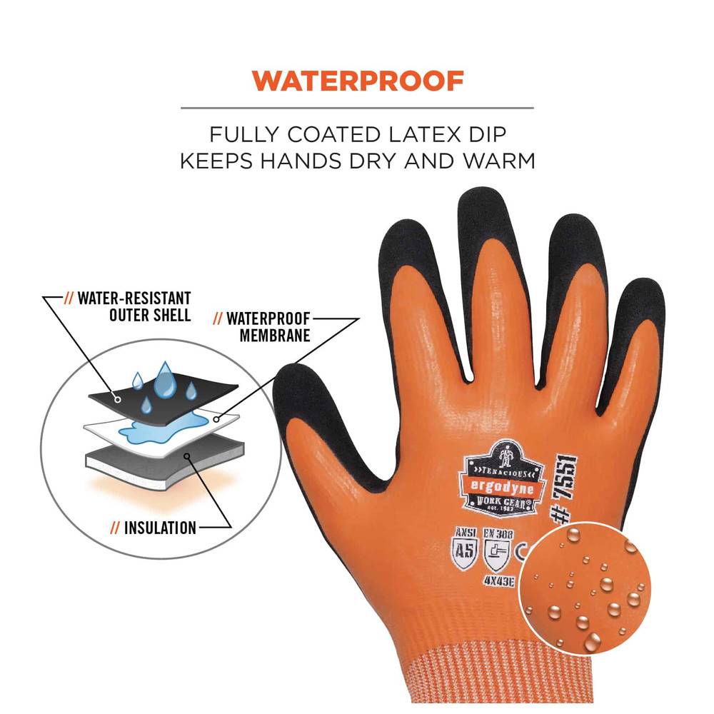 Ergodyne Thermo-Schnittschutzhandschuh ProFlex 7551, EN 388, Größe L (9)
