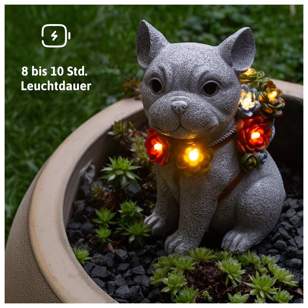 Dönges Hund Solar Garten Deko mit 6 LEDs