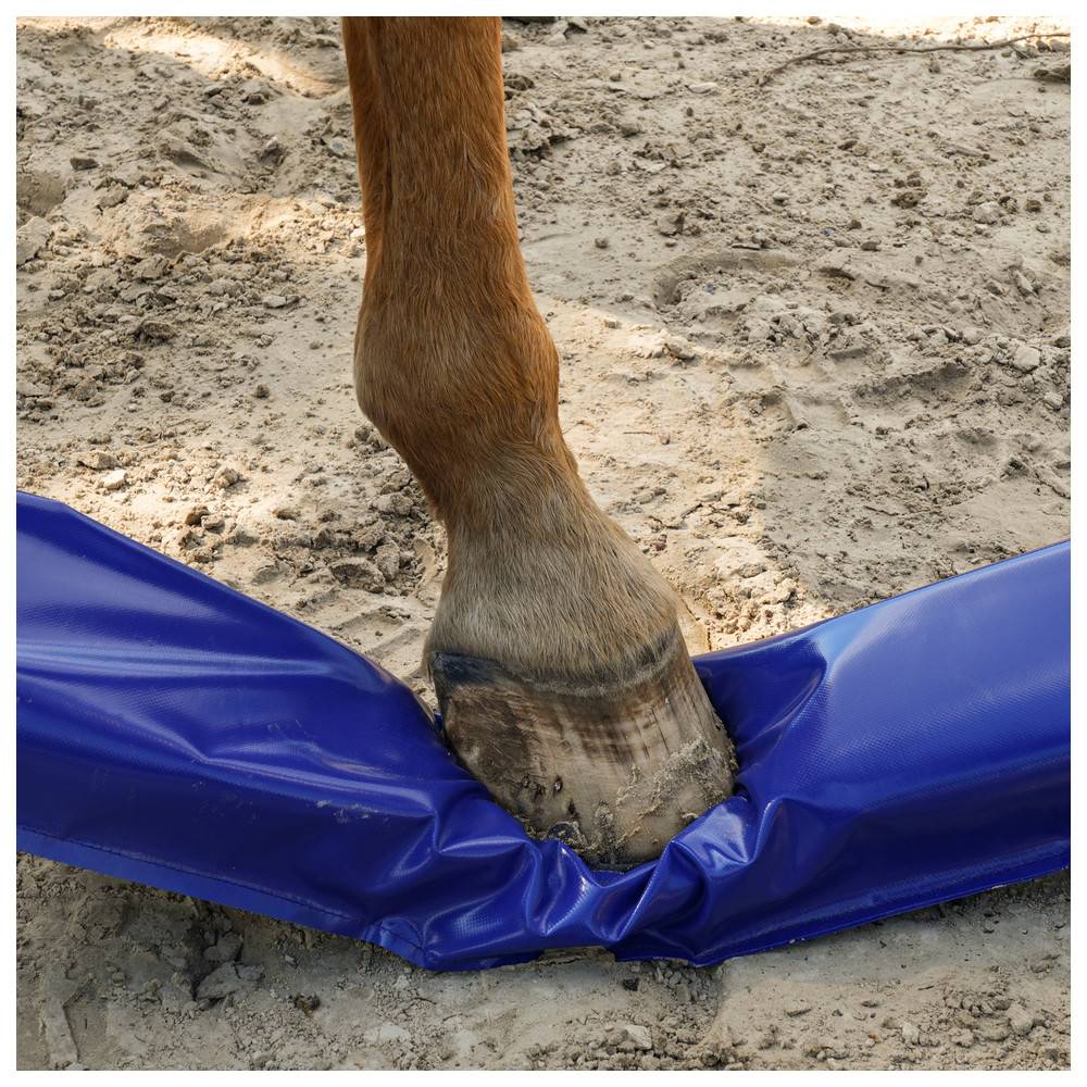 Dönges Pferdegasse gefülltes Set mit vier Balken à 300 x 17 x 10 cm