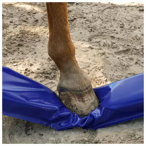 Dönges Pferdegasse gefülltes Set mit vier Balken à 300 x 17 x 10 cm Dönges Pferdegasse gefülltes Set mit vier Balken à 300 x 17 x 10 cm