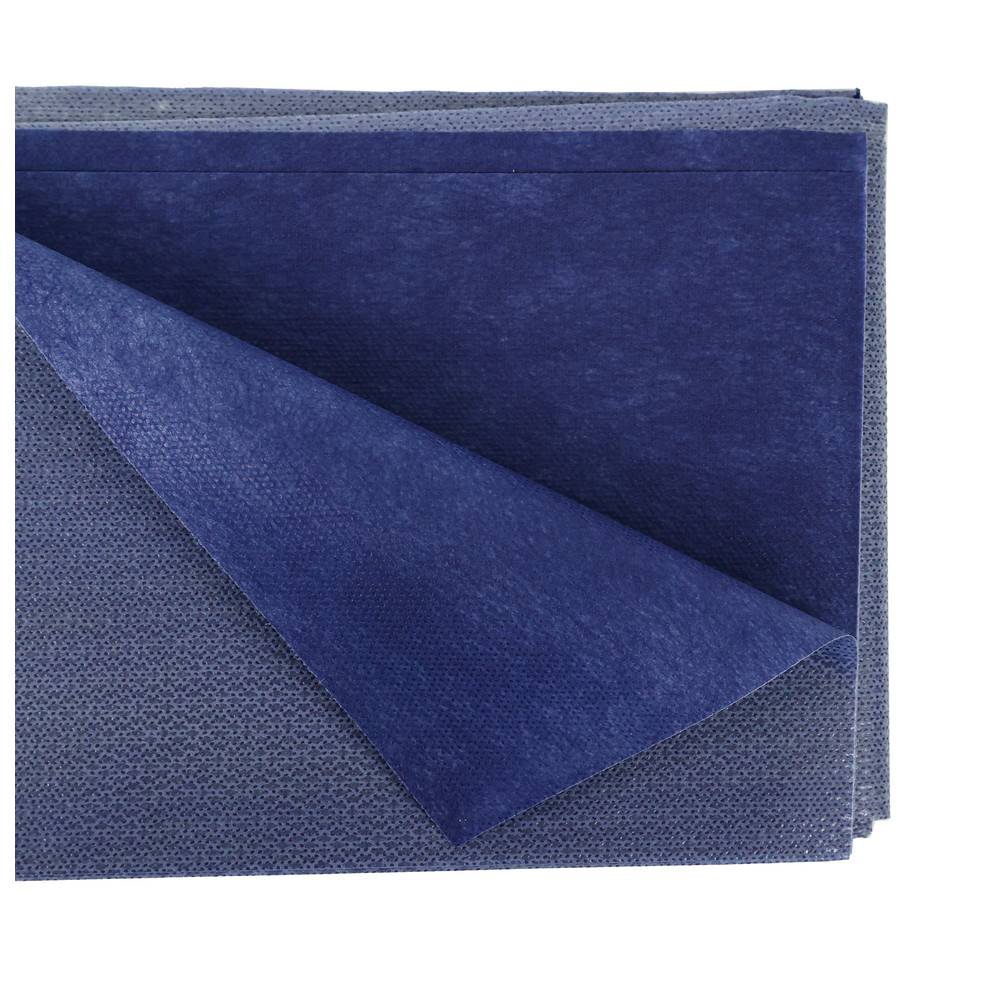 Dönges Einmalvlieslaken, Abmessung 200 x 100 cm, Farbe blau