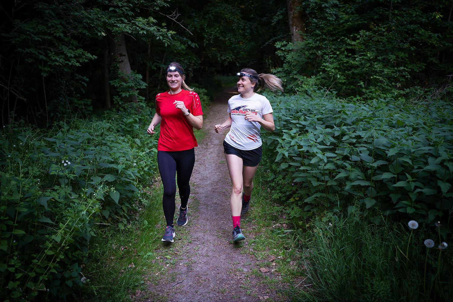 DOTLUX LED-Stirnlampe 3W