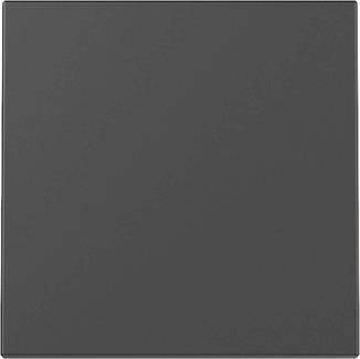 GIRA 3296005 Wippe System 55 Schwarz matt (lackiert) Install.Baumaterial Schaltermat/Geb.Steu
