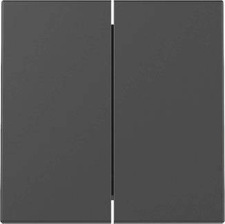 Zwei dunkelgraue rechteckige Paneele mit einem schmalen vertikalen Spalt dazwischen, die ein minimalistisches, geometrisches Design auf einem einfachen Hintergrund schaffen.