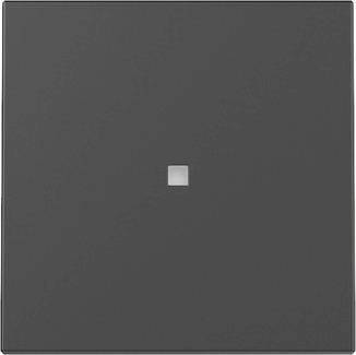 Ein mattschwarz lackierter quadratischer Schalter mit einem kleinen, mittig angebrachten metallischen Knopf, entwickelt für minimalistische Inneneinrichtungen.