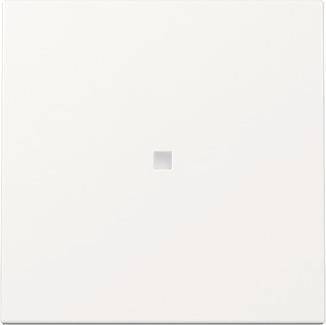 Ein einfaches weißes quadratisches Panel mit einer kleinen zentralen Vertiefung, wahrscheinlich ein minimalistisches Lichtschalter- oder Buttondesign.