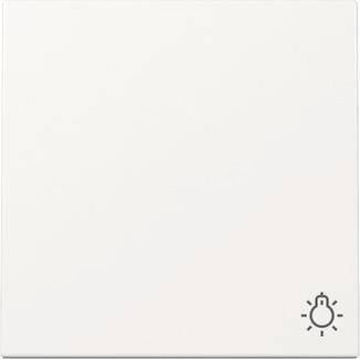 Eine Lichtschalter mit einem Glühbirnen-Symbol in einer Ecke auf einem einfachen weißen Hintergrund.