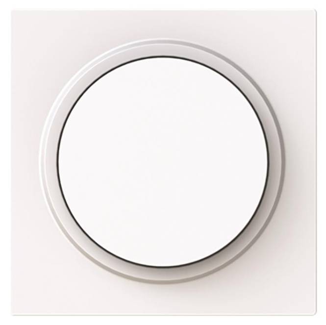 BJ Zentralscheibe 6540-44G-102 Drehdimmer m.Drehknopf weiß Install.Baumaterial Schaltermat/Geb.Steu