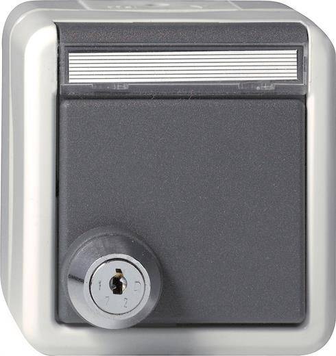 GIRA 456730 SCHUKO-Steckdose Klappdeckel Schloss sortiert+BSF WG AP IP44 Grau Install.Baumaterial