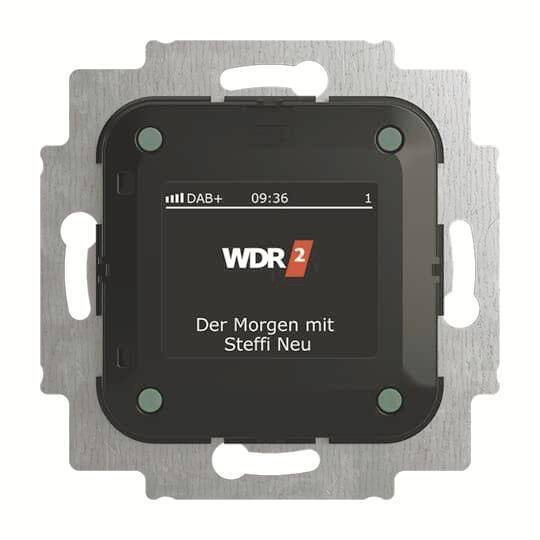 BJ Busch-Radio DAB+ 8215 U-101 Install.Baumaterial Schaltermat/Geb.Steu Schalter Steckdosenm