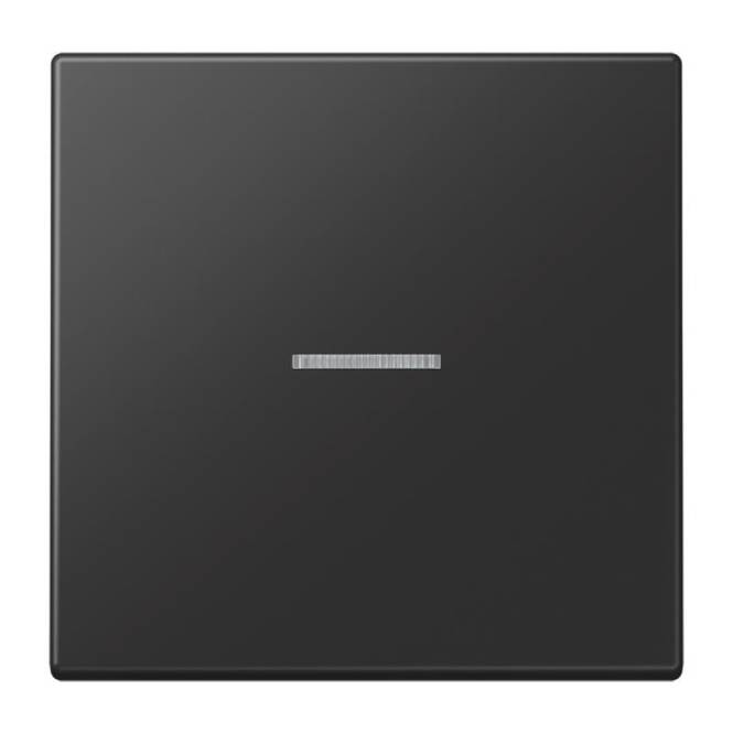 Jung Wippe f.Schalter/Taster LS990KO5SWM KO graphitschwarz matt Install.Baumaterial Schalter